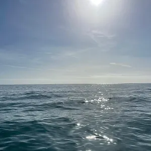 apt-fly-sea-view.hotelaalgarve.com/